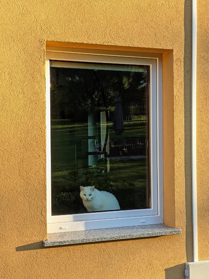 Gajowka Villa Radkow Dış mekan fotoğraf